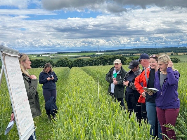 VI attends AHDB Strategic Cereal Farm Open Day - Balbirnie, Fife Image