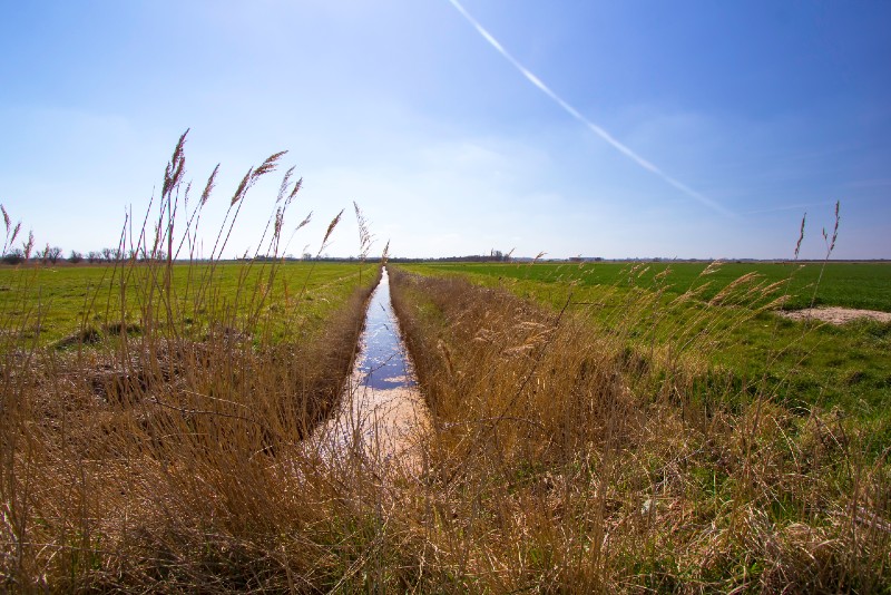 What’s next for IPM