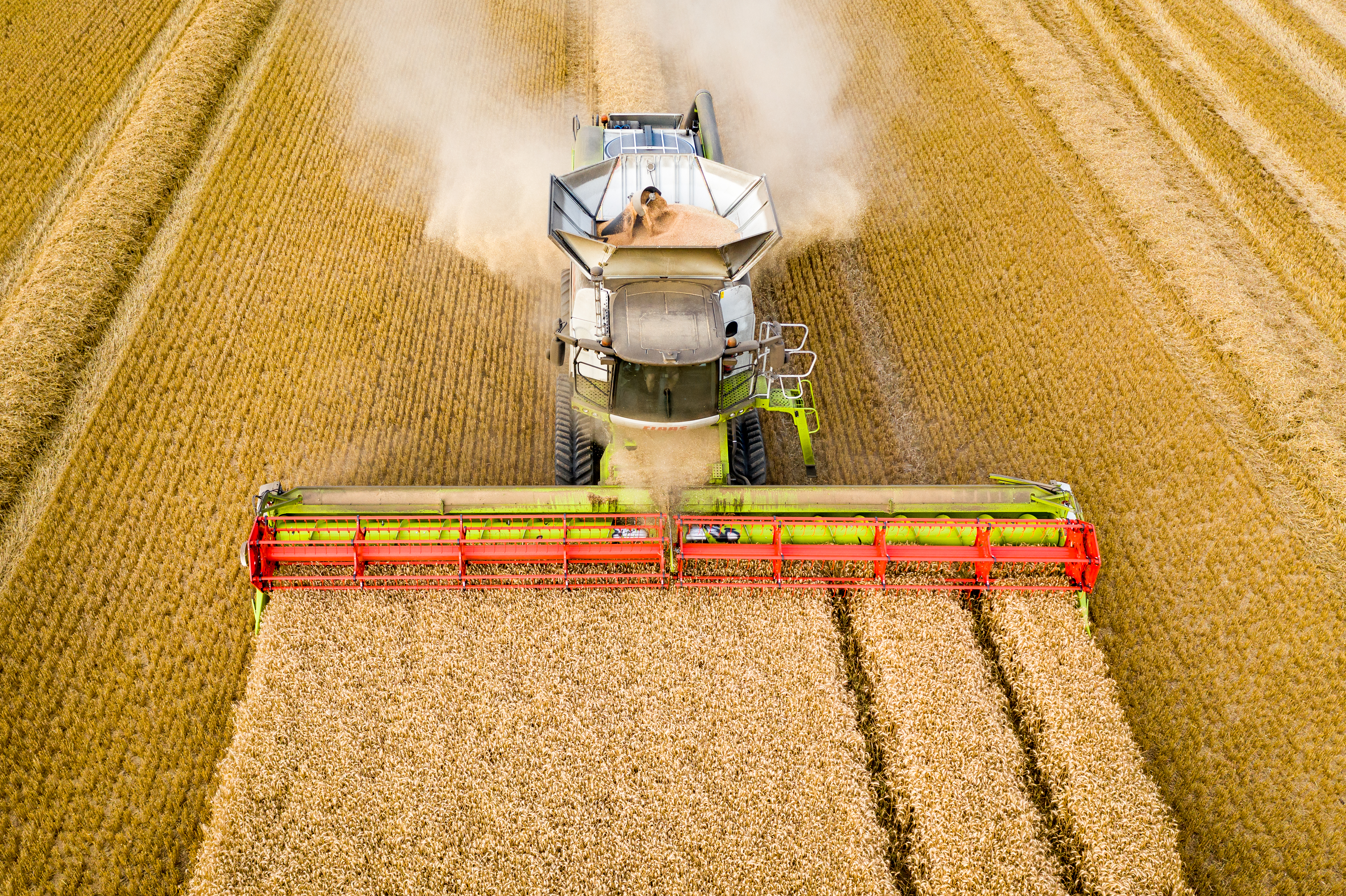 AHDB Hub Image