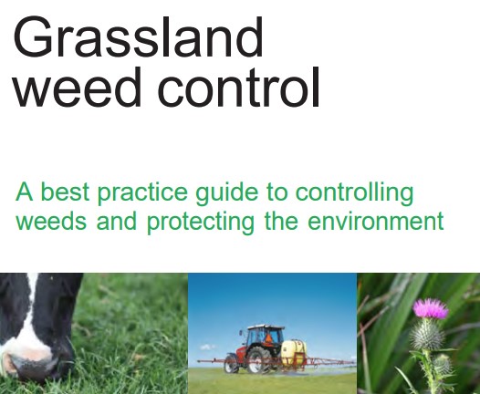 VI Grassland Weed Control Image