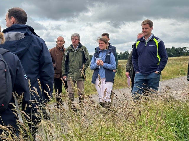 Joint VI / AHDB Beverley Monitor Farm Summer Walk Image