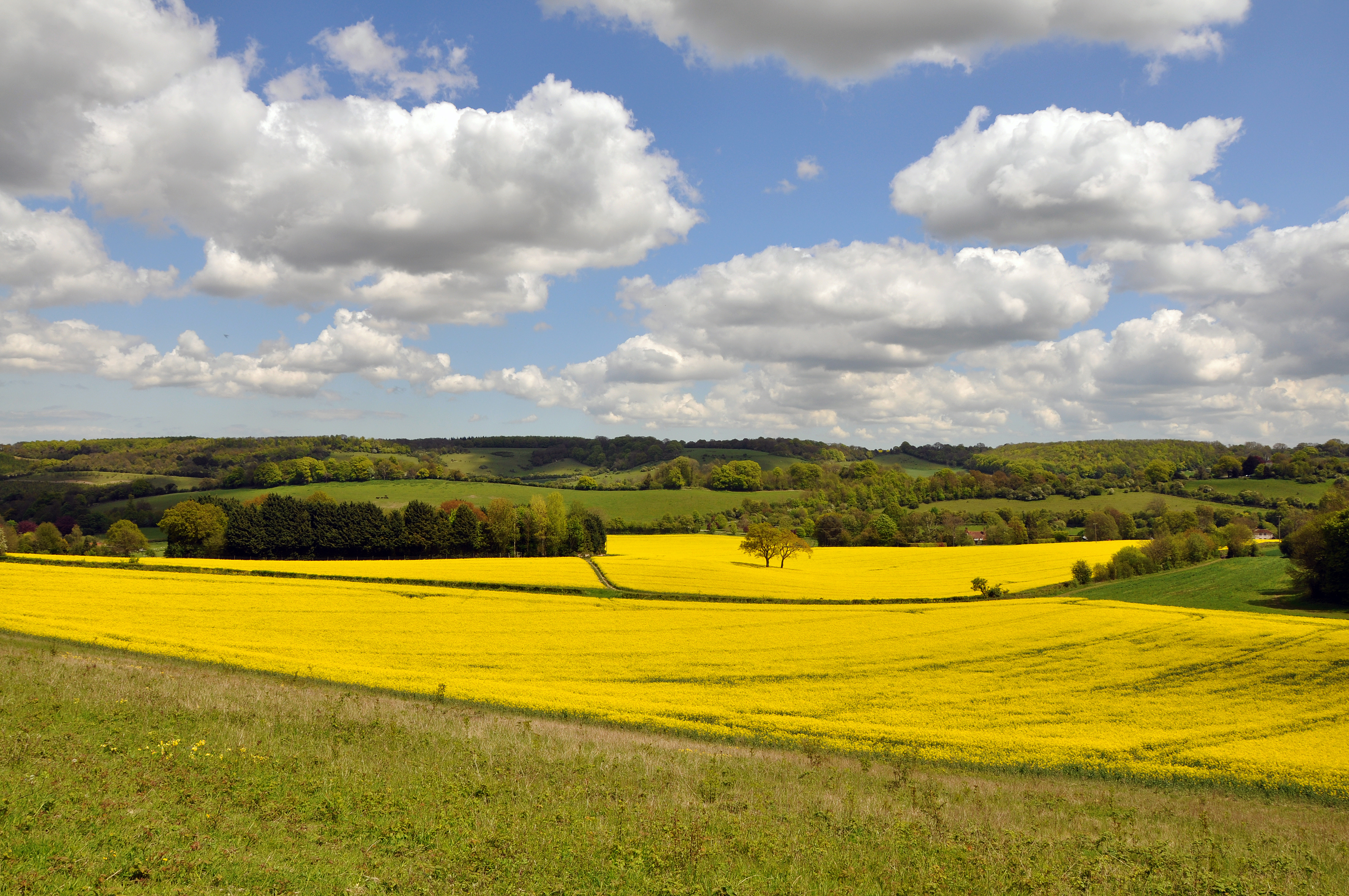 Putting IPM into practice Image