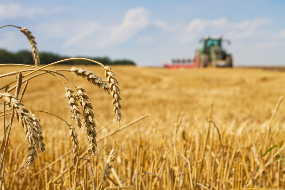 Need for careful glyphosate stewardship