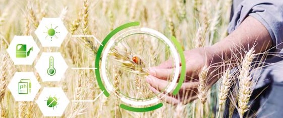 Voluntary Initiative at BCPC Congress 2025 Image