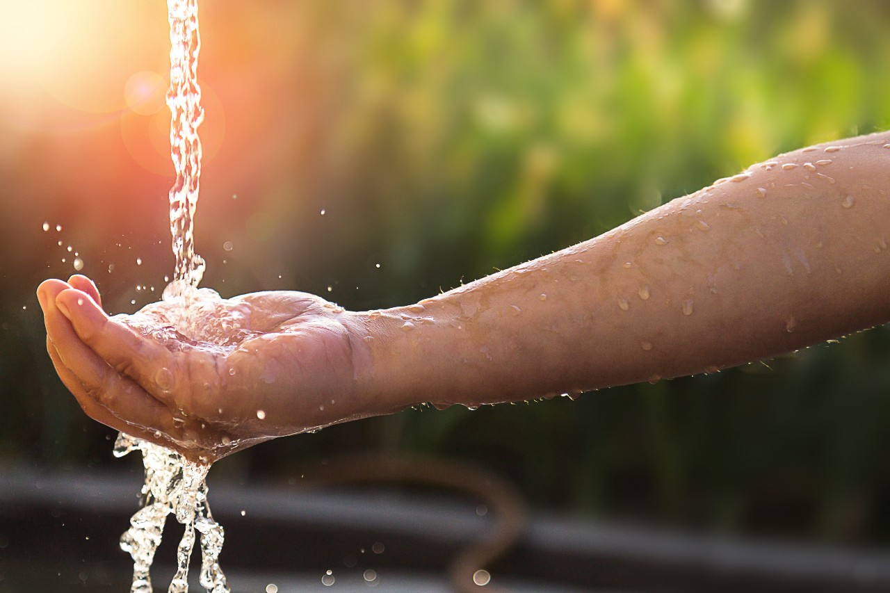 Autumn Water Stewardship Advice